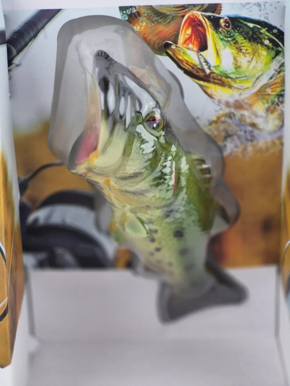 Terraen Bass Bottle Opener Fish Novelty